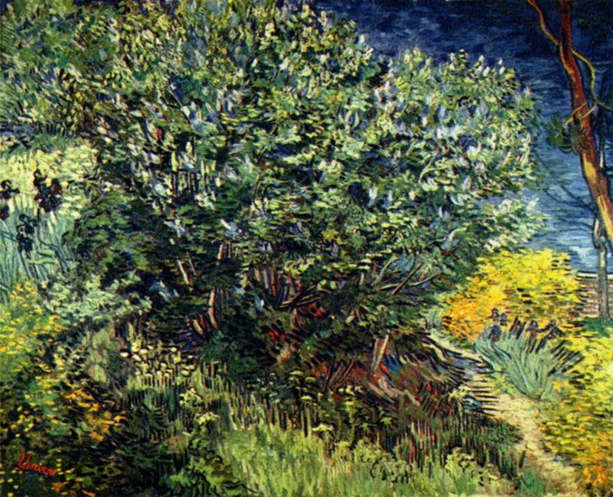 Ван Гог (van Gogh) Винсент : Кустарник близ Арля