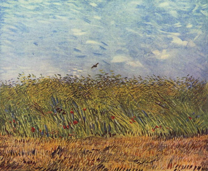 Ван Гог (van Gogh) Винсент : Нива с маками и жаворонком