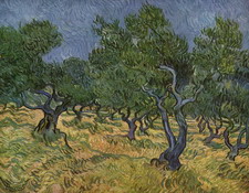 Ван Гог (van Gogh) Винсент : Роща олив