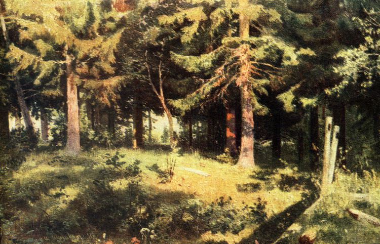 Лесной пушкина 1