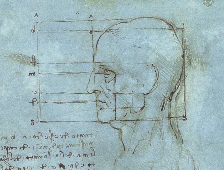 Да Винчи Леонардо: Голова