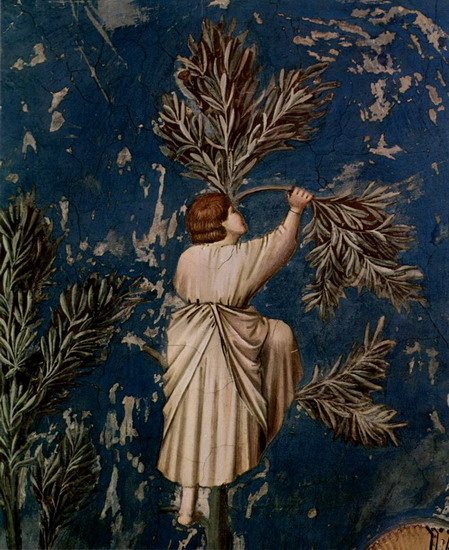 Джотто ди Бондоне (Giotto di Bondone) : Въезд в Иерусалим. Фрагмент 2