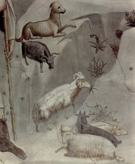 Джотто ди Бондоне (Giotto di Bondone) : Сон Иоакима. Фрагмент