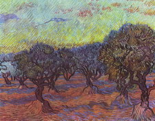 Ван Гог (van Gogh) Винсент : Оливковая роща
