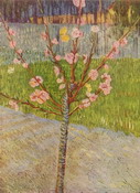 Ван Гог (van Gogh) Винсент : Персиковое дерево в цвету
