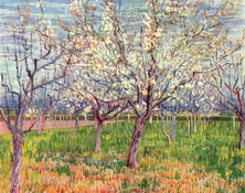 Ван Гог (van Gogh) Винсент : Плодовый сад в цвету
