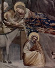 Джотто ди Бондоне (Giotto di Bondone) : Рождество. Фрагмент